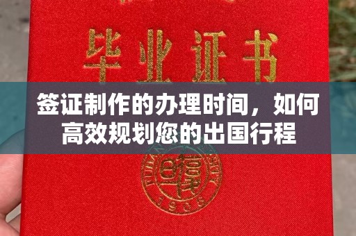 平阳签证制作的办理时间，如何高效规划您的出国行程